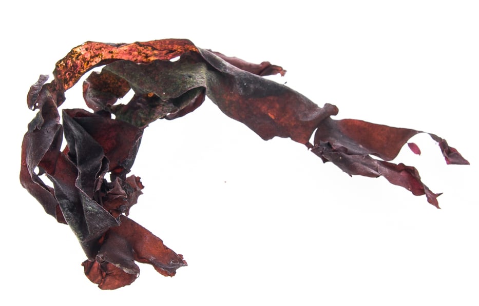 dulse