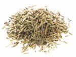 rosemary_wild_na_vre_ki